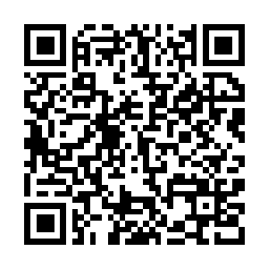 Link to your fundraiser QRCode - Fundraising