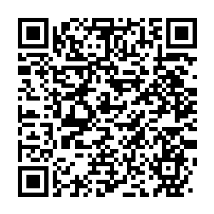 Link to your fundraiser QRCode - Fundraising