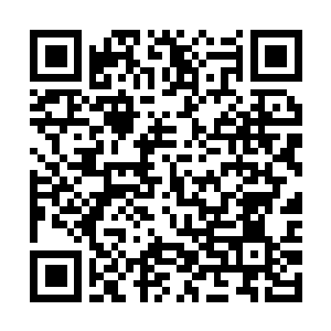 Link to your fundraiser QRCode - Fundraising