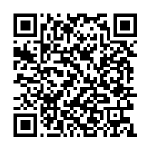 Link to your fundraiser QRCode - Fundraising