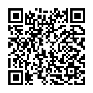 Link to your fundraiser QRCode - Fundraising
