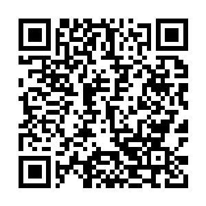 Link to your fundraiser QRCode - Fundraising