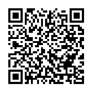 Link to your fundraiser QRCode - Fundraising