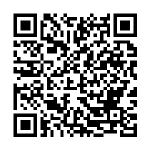Link to your fundraiser QRCode - Fundraising