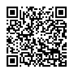 Link to your fundraiser QRCode - Fundraising