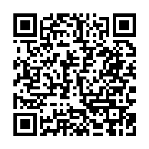 Link to your fundraiser QRCode - Fundraising
