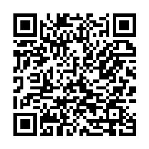 Link to your fundraiser QRCode - Fundraising