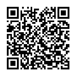 Link to your fundraiser QRCode - Fundraising