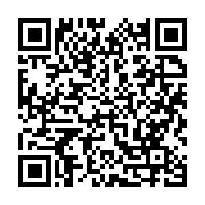 Link to your fundraiser QRCode - Fundraising