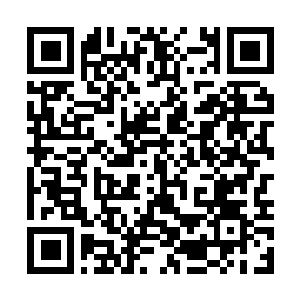 Link to your fundraiser QRCode - Fundraising