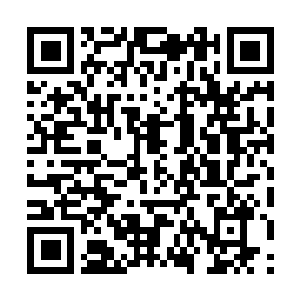 Link to your fundraiser QRCode - Fundraising