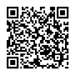 Link to your fundraiser QRCode - Fundraising