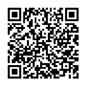 Link to your fundraiser QRCode - Fundraising