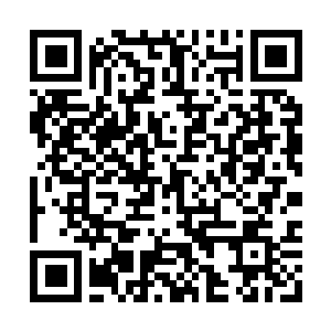 Link to your fundraiser QRCode - Fundraising