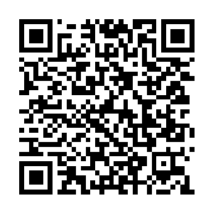 Link to your fundraiser QRCode - Fundraising