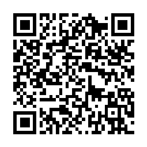 Link to your fundraiser QRCode - Fundraising