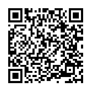 Link to your fundraiser QRCode - Fundraising