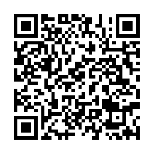 Link to your fundraiser QRCode - Fundraising