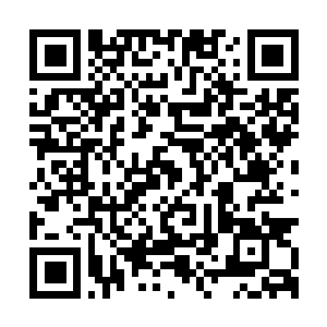 Link to your fundraiser QRCode - Fundraising