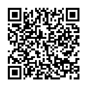 Link to your fundraiser QRCode - Fundraising