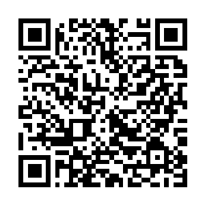 Link to your fundraiser QRCode - Fundraising
