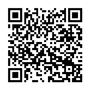Link to your fundraiser QRCode - Fundraising