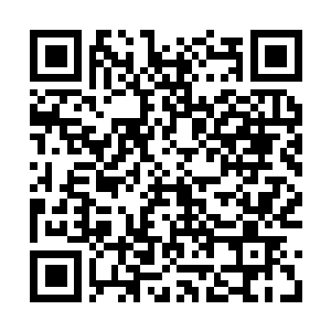 Link to your fundraiser QRCode - Fundraising