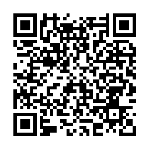 Link to your fundraiser QRCode - Fundraising