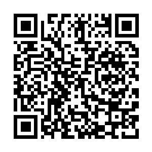 Link to your fundraiser QRCode - Fundraising