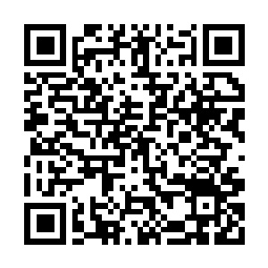 Link to your fundraiser QRCode - Fundraising