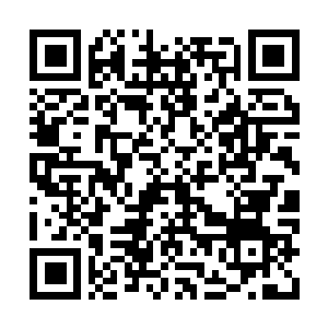 Link to your fundraiser QRCode - Fundraising