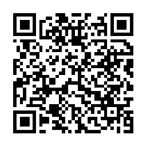 Link to your fundraiser QRCode - Fundraising