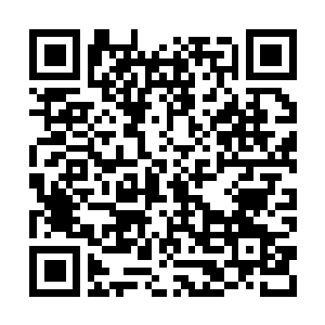 Link to your fundraiser QRCode - Fundraising