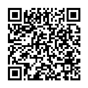 Link to your fundraiser QRCode - Fundraising