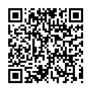 Link to your fundraiser QRCode - Fundraising