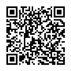 Link to your fundraiser QRCode - Fundraising