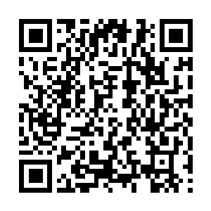 Link to your fundraiser QRCode - Fundraising