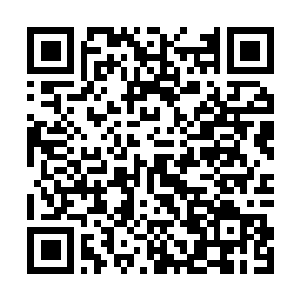 Link to your fundraiser QRCode - Fundraising