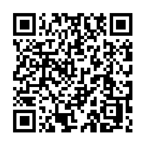 Link to your fundraiser QRCode - Fundraising