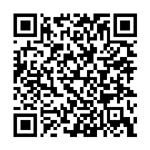 Link to your fundraiser QRCode - Fundraising