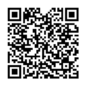 Link to your fundraiser QRCode - Fundraising