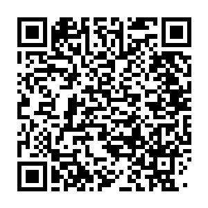 Link to your fundraiser QRCode - Fundraising
