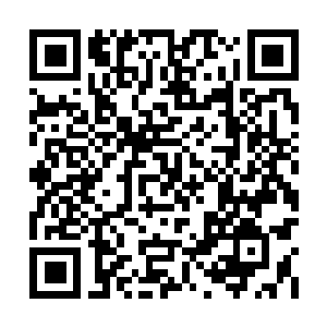 Link to your fundraiser QRCode - Fundraising