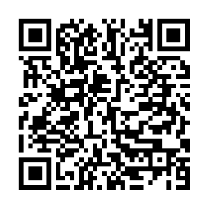 Link to your fundraiser QRCode - Fundraising