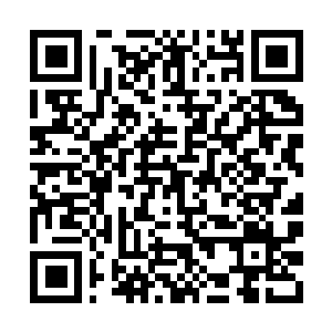 Link to your fundraiser QRCode - Fundraising