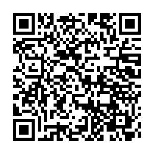 Link to your fundraiser QRCode - Fundraising