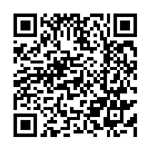 Link to your fundraiser QRCode - Fundraising
