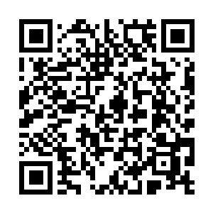 Link to your fundraiser QRCode - Fundraising