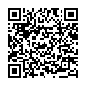 Link to your fundraiser QRCode - Fundraising