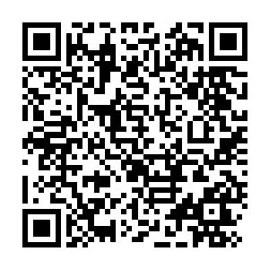 Link to your fundraiser QRCode - Fundraising